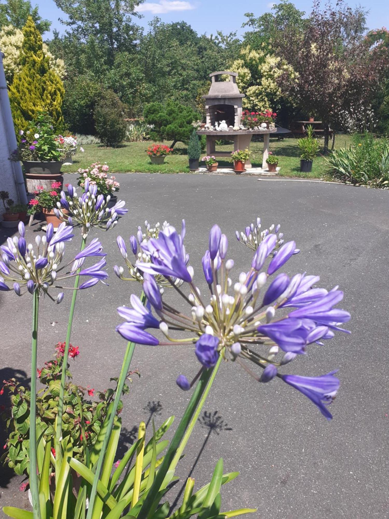 Bed and Breakfast Les Hirondelles Du Paradis 6 Rue Des Oiseaux Beaulieu-sur-Sonnette Exterior foto